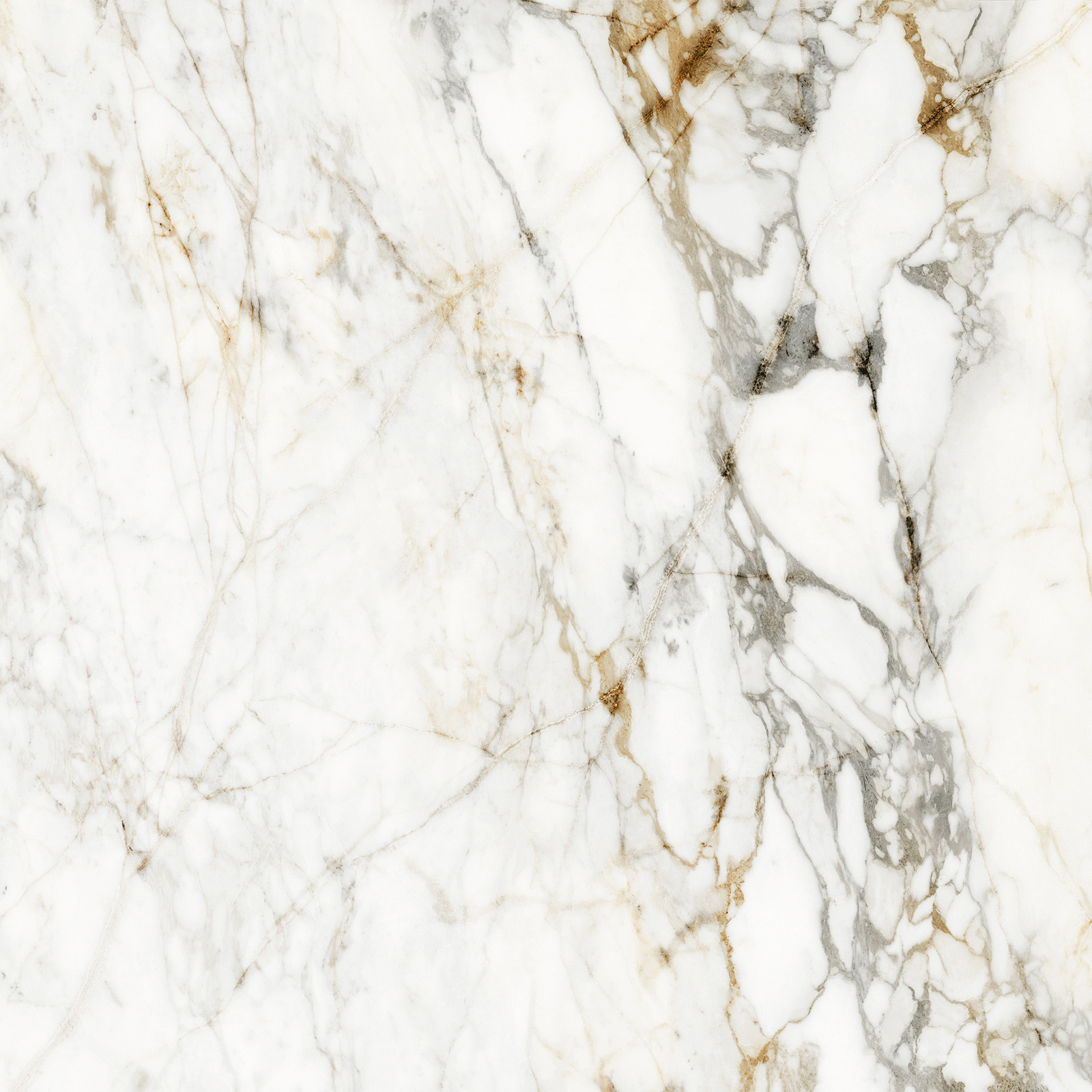 DLAŽBA HALCON BARNABY SUPER WHITE MAT 120X120 DLAŽBA HALCON BARNABY SUPER WHITE MAT 120X120
