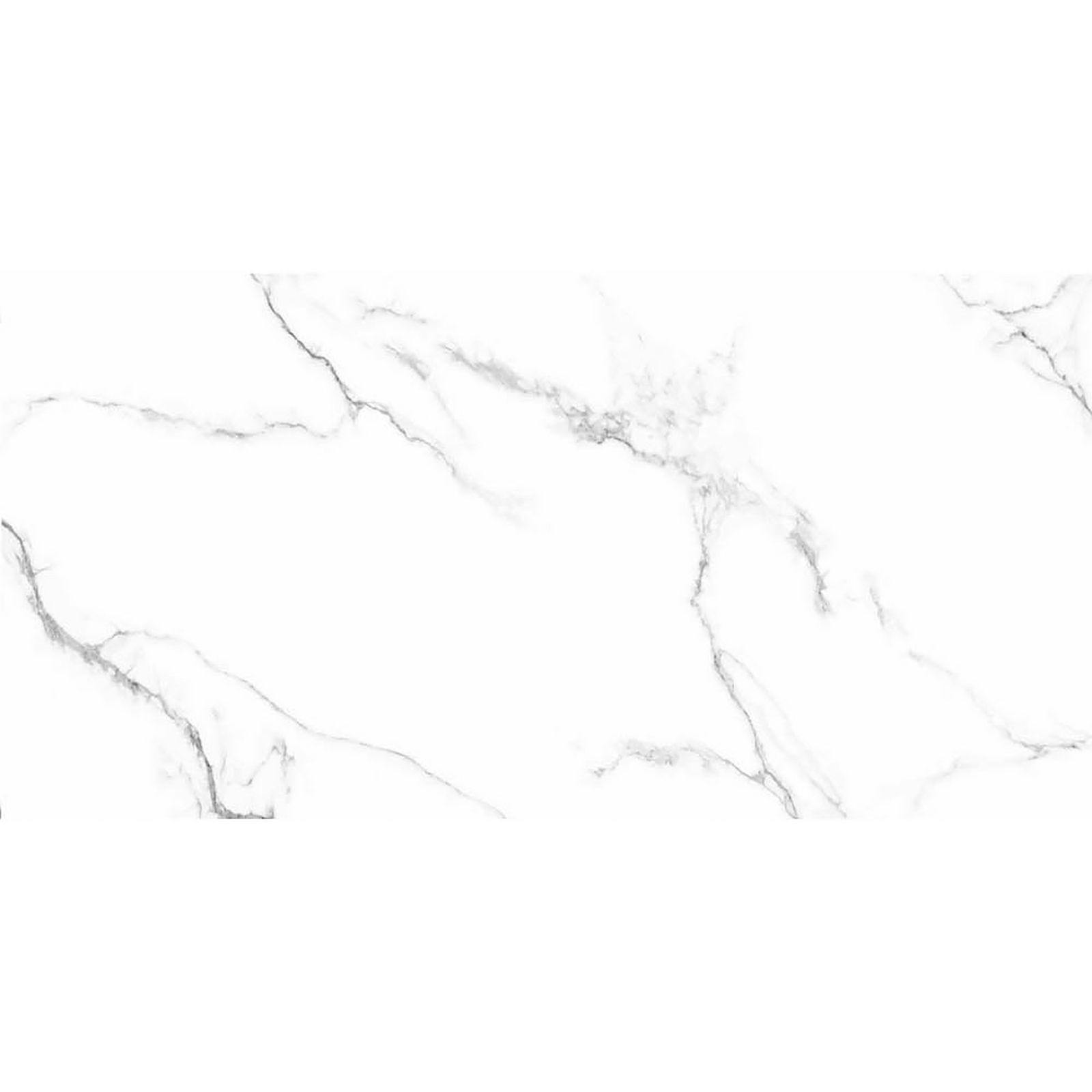 DLAŽBA CALACATTA NEW WHITE MATT CARVING 60X120