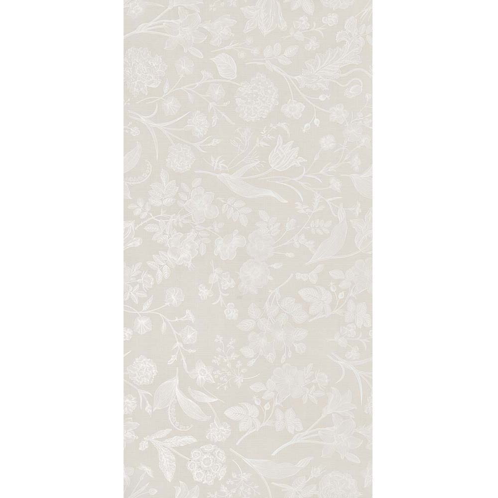 OBKLAD NXT PALACE MONACO GRISE MAT 60X120