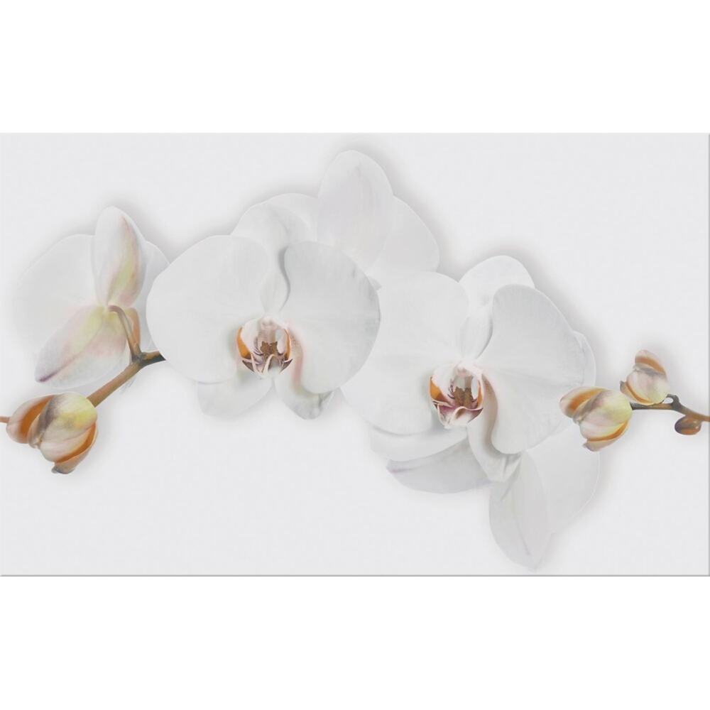 Obklad_na_stenu_inserto_MARISOL_white_flower_glossy_25x40_gat._I* Obklad na stenu inserto MARISOL white flower glossy 25x40 gat. I*